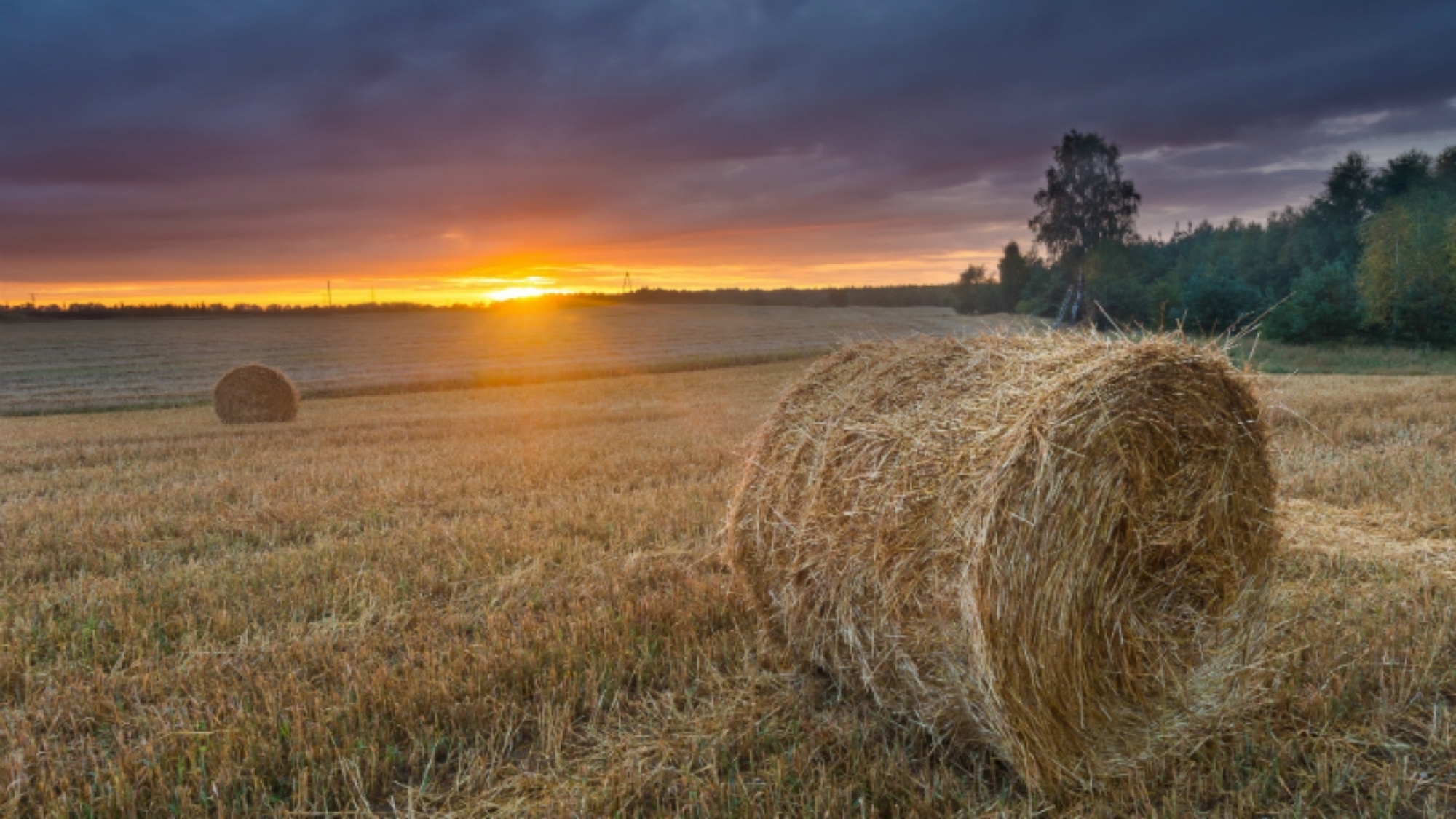 Er þitt fyrirtæki að finnast á Google?